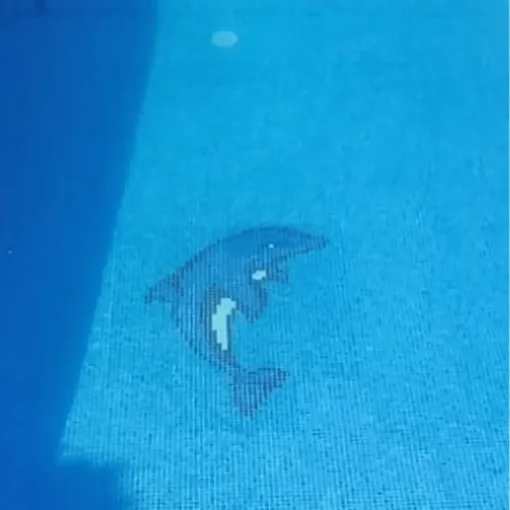 mosaïque dauphin