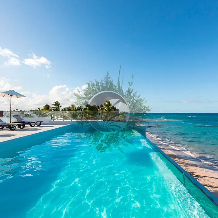 Uni Blanc Brillant – Image 3