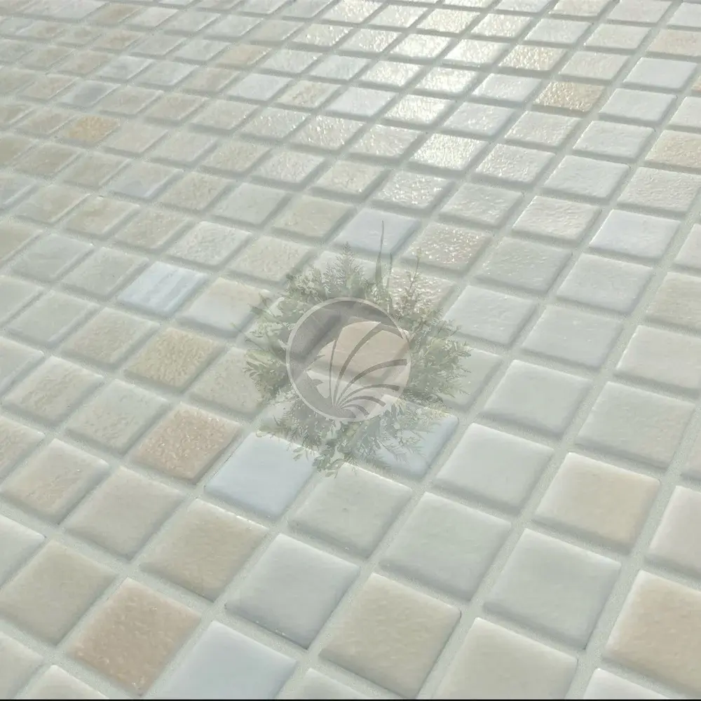 Brouillard Arena – Image 3