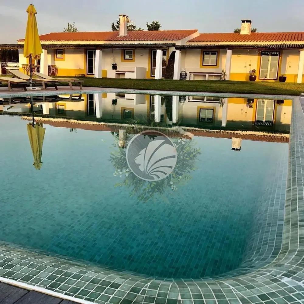 Brouillard Vert Lagune – Image 2