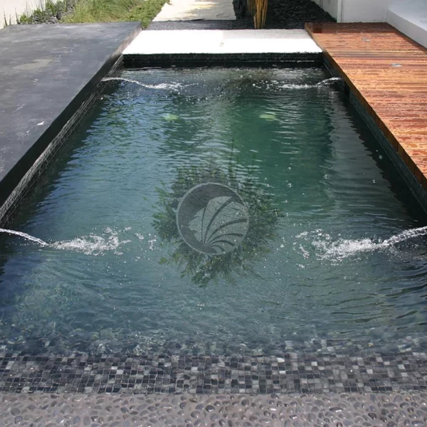 De la mosaïque piscine noir pour une tonalité d´eau naturelle