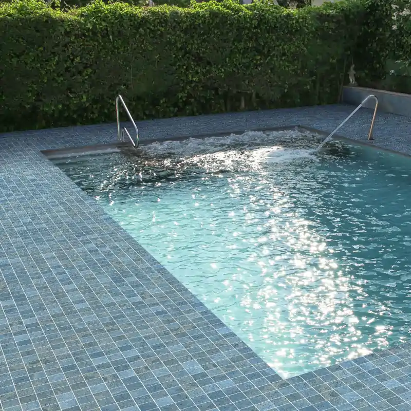 Parsan Bleu – Image 2